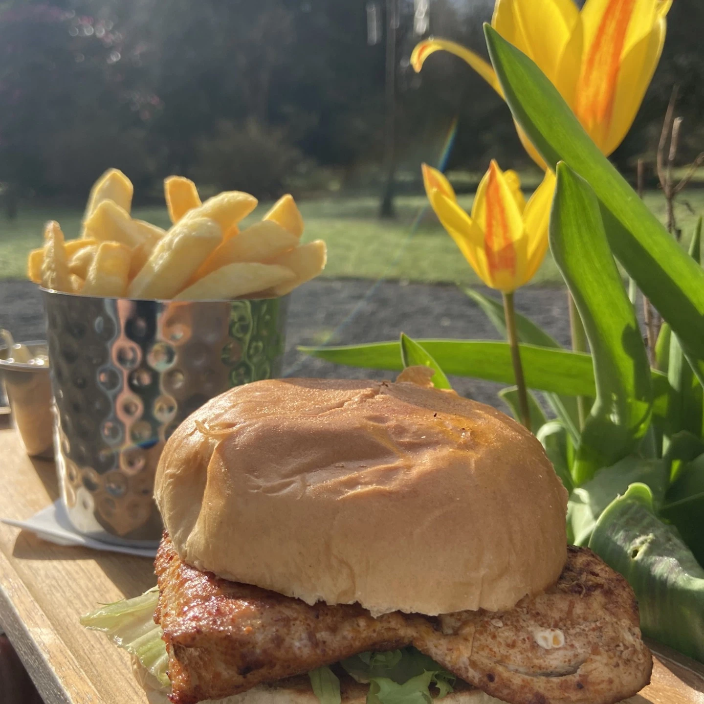 653789113 1398105482342879 3737277031953670263 n uai