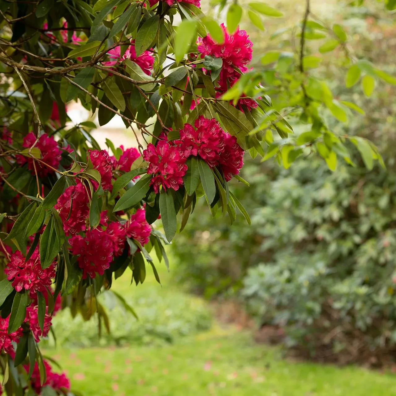 Application 2 referrals application1 1920w.jpg uai