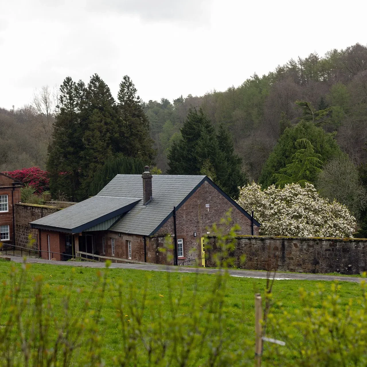 Referral Criteria 1 referrals referral criteria1 1920w.jpg uai