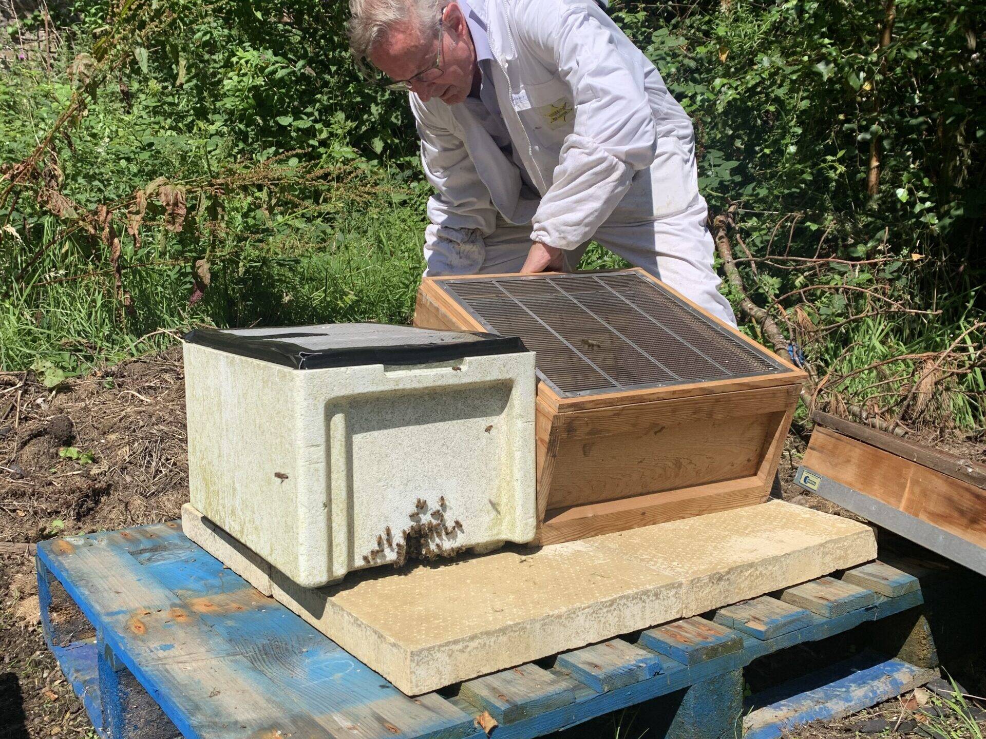 RGA Beehives 1 scaled uai