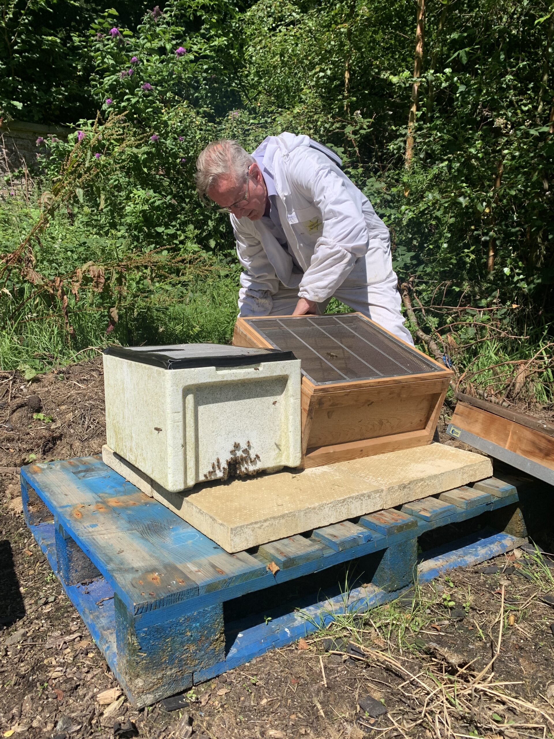 RGA Beehives 1 scaled